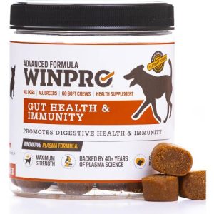 Gut Health Supplements